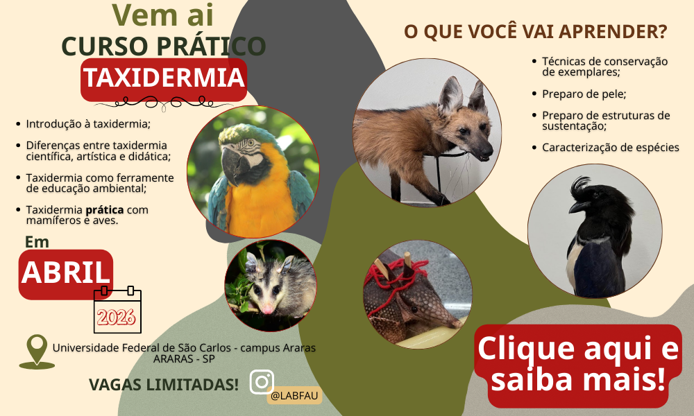 Curso taxidermia